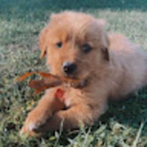 Meet your Posher, Madi